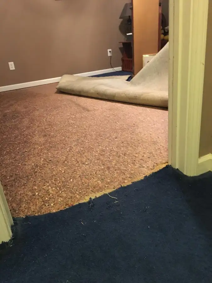 Carpet pad removal revealing water damage during Drying & Dehumidification in Plum