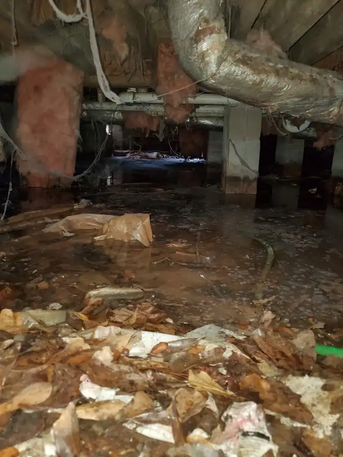 Crawl space flood assessment for Leak Detection & Repair in Plum