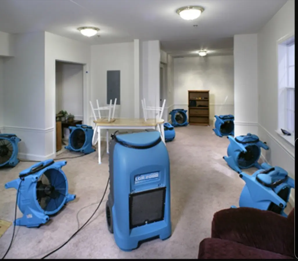 Air movers and dehumidifier setup for Water Extraction & Removal in Plum
