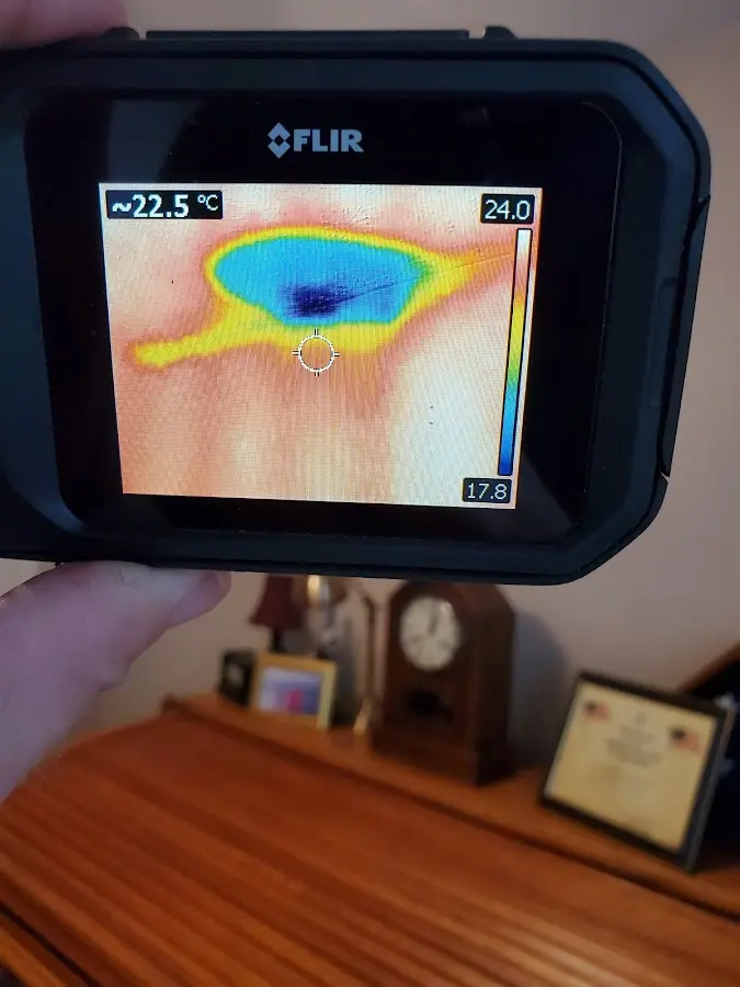 Thermal imaging inspection for water damage in Plum